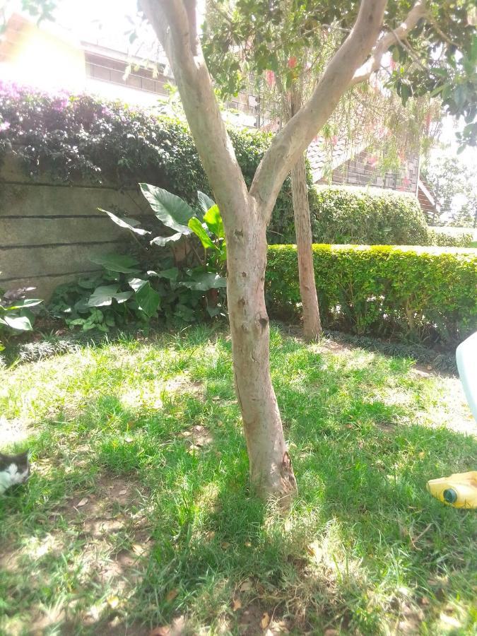 Bernkish Homes Nakuru Exterior foto