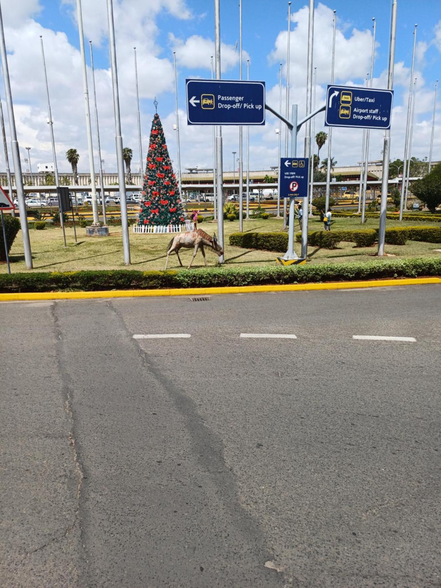 Bernkish Homes Nakuru Exterior foto