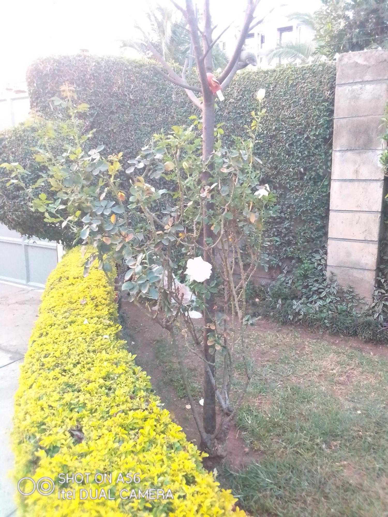 Bernkish Homes Nakuru Exterior foto