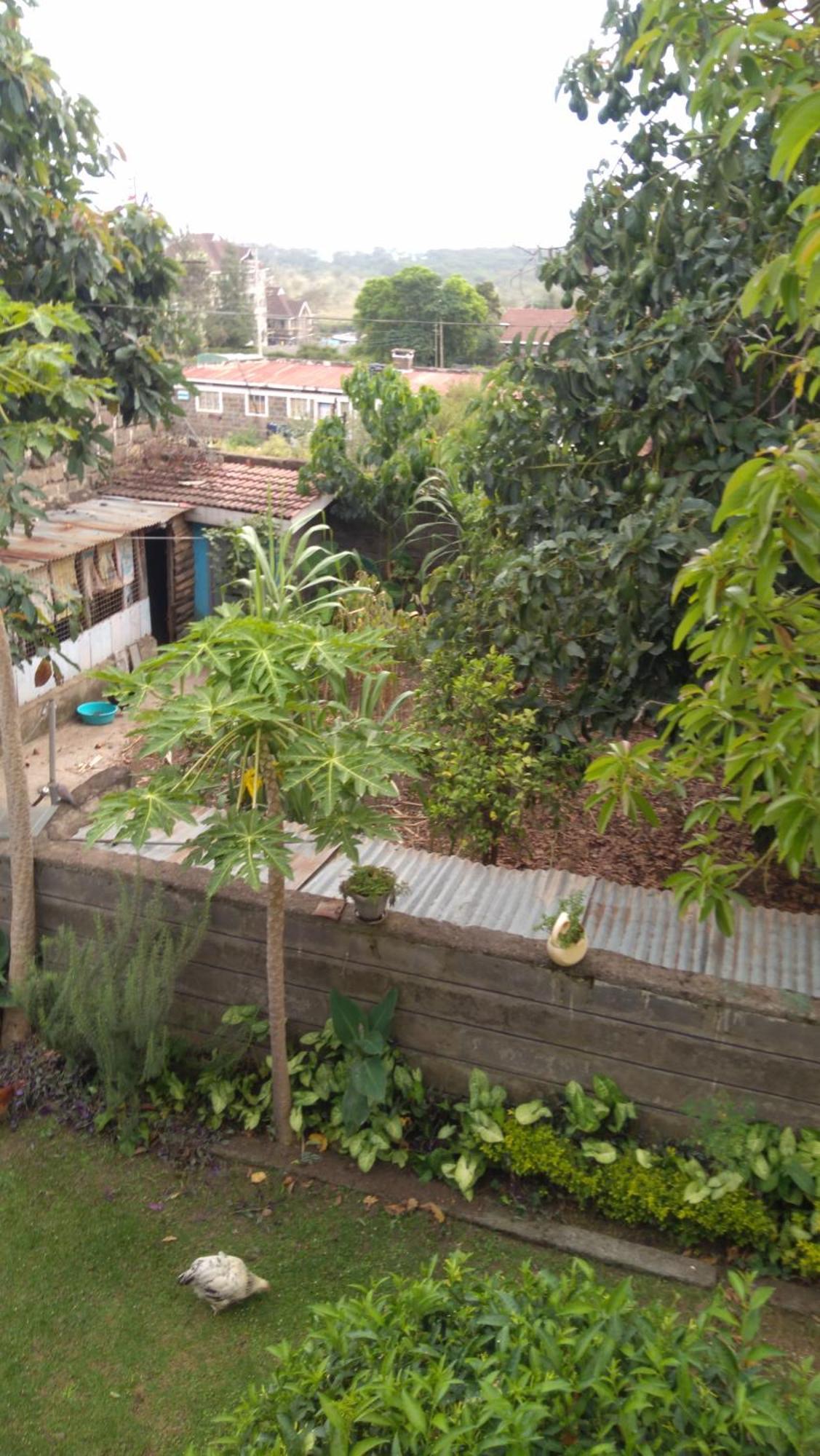 Bernkish Homes Nakuru Habitación foto